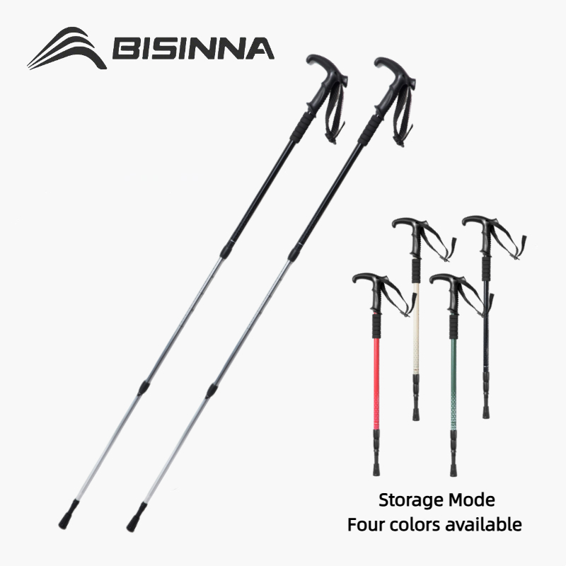 BISINNA 2 Stück Wanderstöcke m – Trekking Pole Carbon Bewertung und Preis